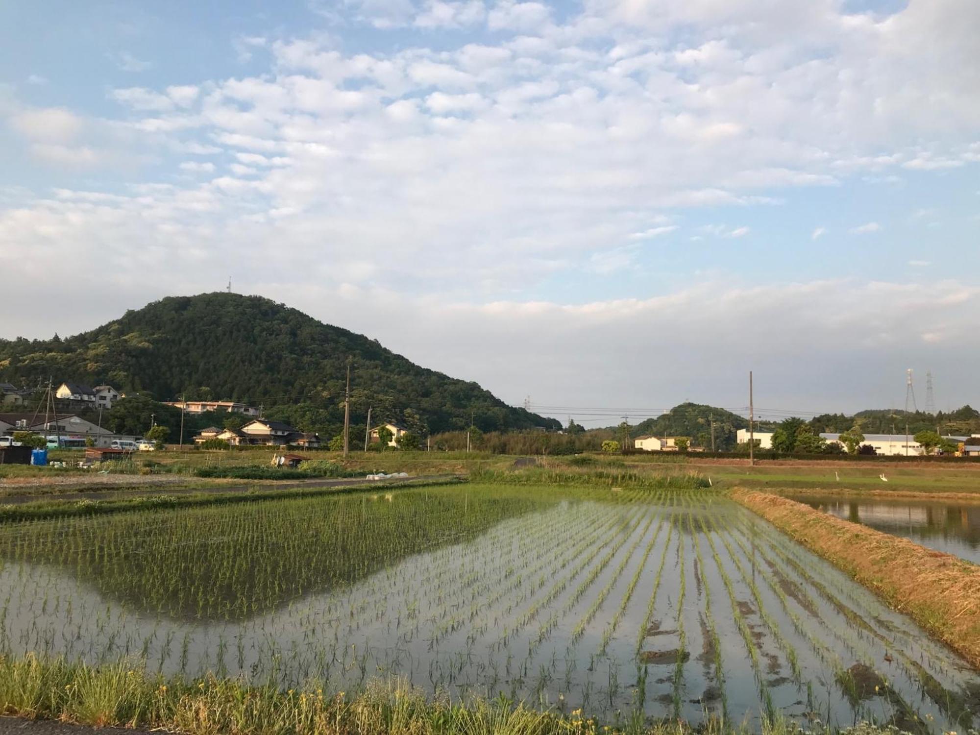 Morinoka - Vacation Stay 43707V Matsue Eksteriør bilde